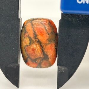 Orange Turquoise Cabochon Loose Stone